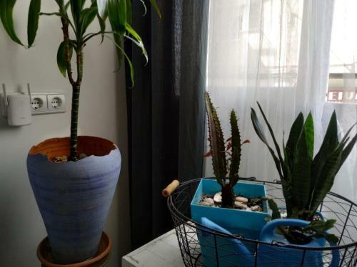 Boutique Beach Apartment Matar�
