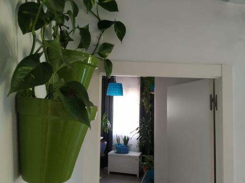Boutique Beach Apartment Matar�