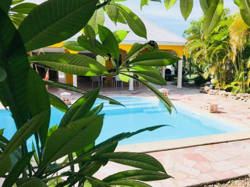 La Villa De Maracuja De Coco