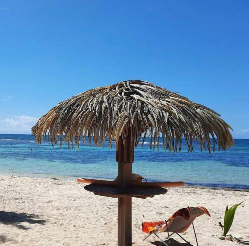 Apartamento Moana Lodge