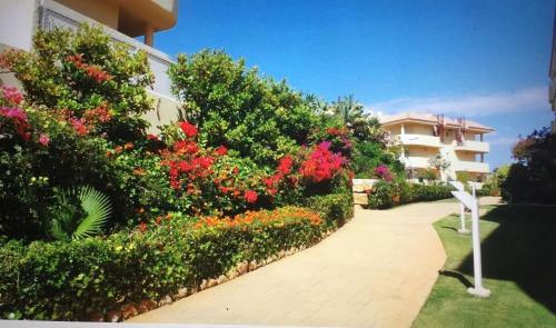 Quiet Hillside Apartment With Beautiful Terrace Just 5 Minutes Walk From Beach