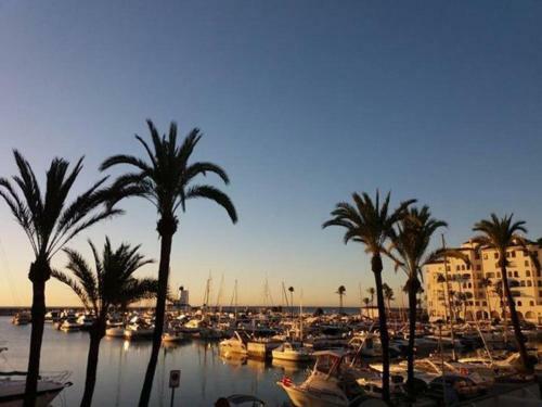 Apartamento Duquesa Regent
