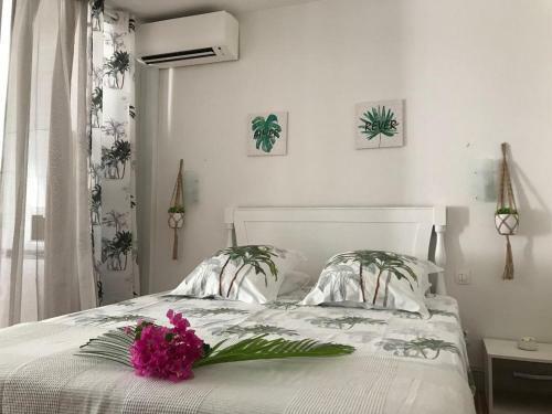 Apartamento Coeur Tiare Studio Lounge Piscine Plage Cocotiers