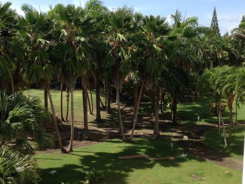 Apartamento Coeur Tiare Studio Lounge Piscine Plage Cocotiers