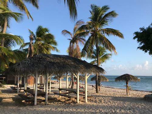 Apartamento Coeur Tiare Studio Lounge Piscine Plage Cocotiers