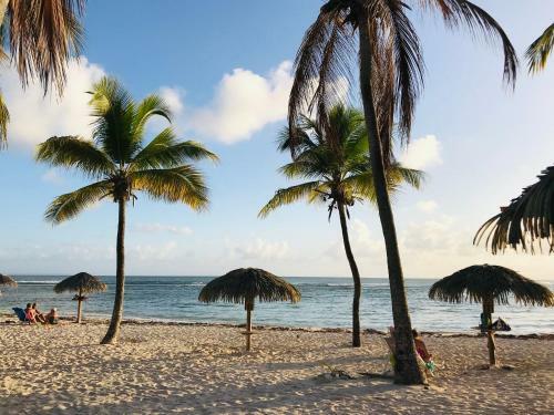 Apartamento Coeur Tiare Studio Lounge Piscine Plage Cocotiers