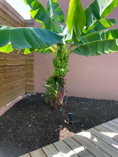 Kokog�tes, Bungalows Avec Piscines Privatives