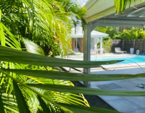 Villa Fleurs Des Caraibes