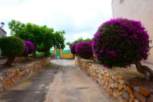 Los Alamillos 3