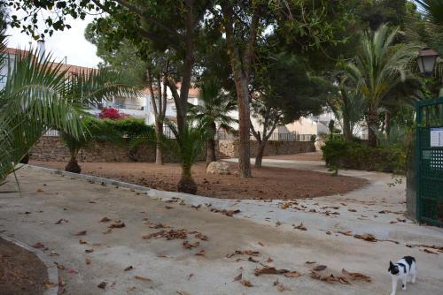 Los Alamillos 3