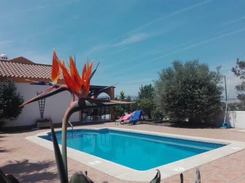 Casa El Olivo
