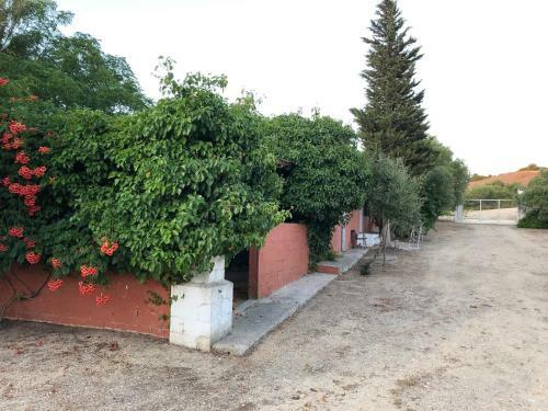 Agroturismo Casa de Campo Con Encanto Cerca de Chiclana