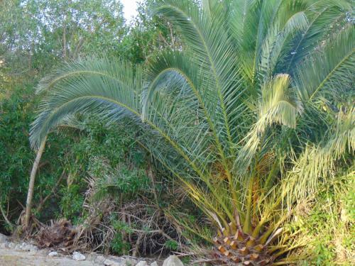 Agroturismo Casa de Campo Con Encanto Cerca de Chiclana
