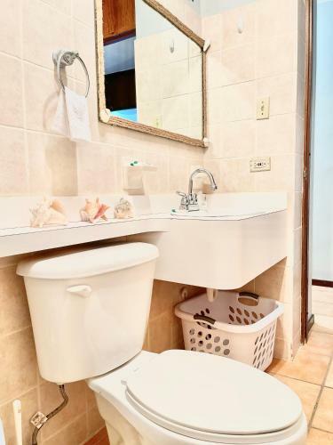 Apartamento Condo With Ocean View And Pool On Beach Court