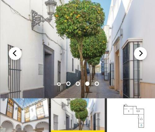 Apartamento Para�so Andres