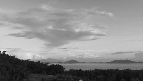 Le Bananier Rouge