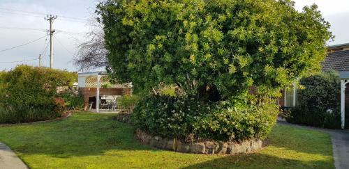 Apartamentos Shearwater Cottages
