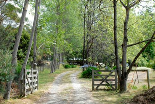 Birdwing Bed And Breakfast Weegena