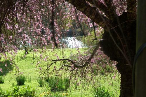 Birdwing Bed And Breakfast Weegena
