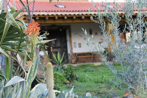 Casa Rural La Coscoja