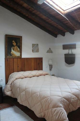 Casa Rural La Coscoja