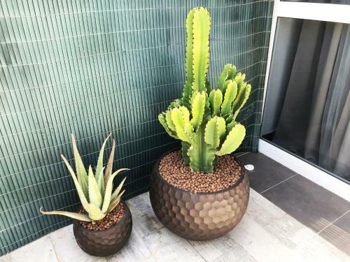 Vicksol Sonneland Maspalomas