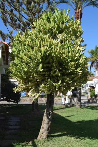 Apartamento Parque Golf Fresh