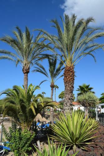 Apartamento Parque Golf Fresh