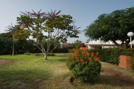 Apartamento Maspalomas Los Melocotones, Maspalomas Golf
