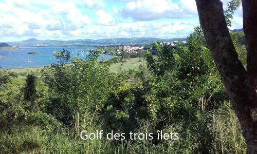 Apartamento Superbe Vue Anse Mitan
