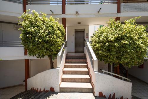 Apartamento Morro Besudo