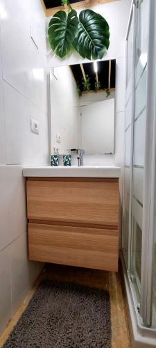 Apartamentos H�bitat Tropical