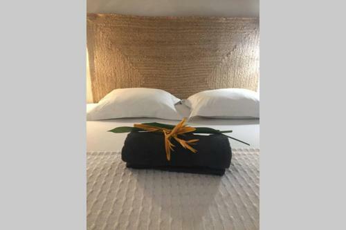 Villa Vue Mer Et For�t Primaire