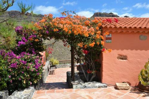 Finca Las Olivas