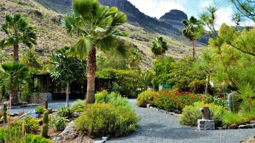 Finca Las Olivas