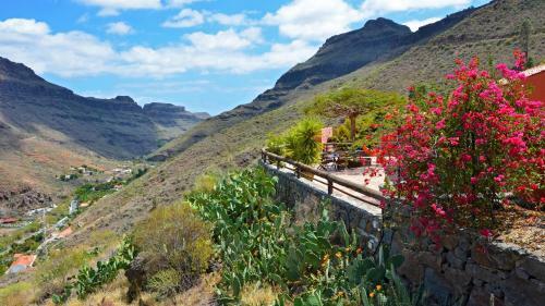 Finca Las Olivas