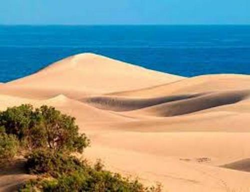Apartamento Bungalow Dunas&sea Maspalomas
