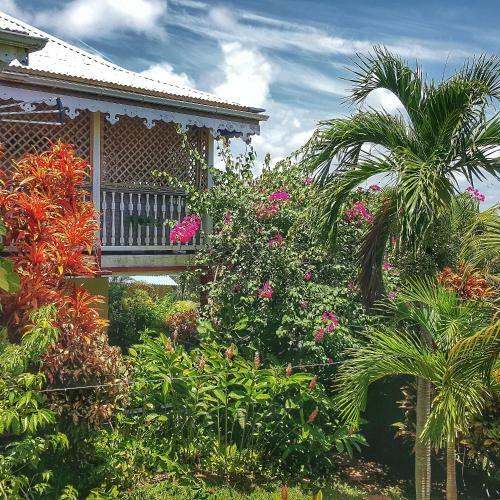 Apartamento Studio Frangipani Dans Villa Fleurs Des Iles
