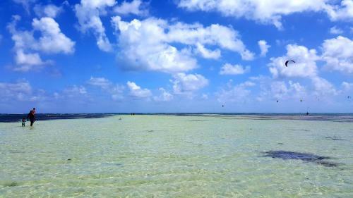 Apartamento Studio Frangipani Dans Villa Fleurs Des Iles