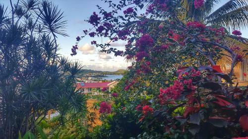 Apartamento Studio Frangipani Dans Villa Fleurs Des Iles