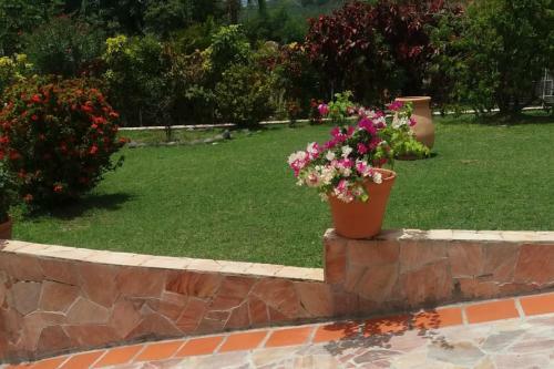 Apartamento Ti Calebasse