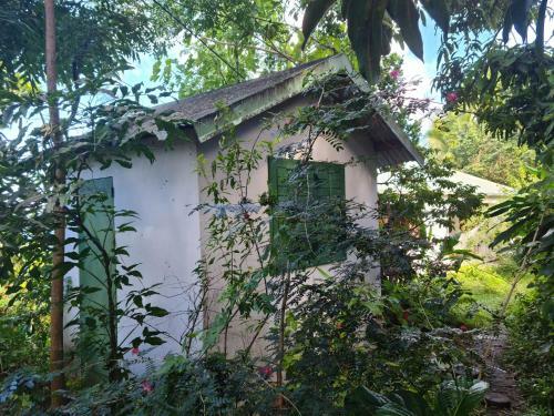 Peaceful House
