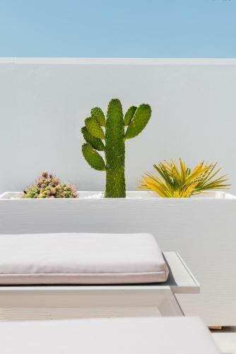 Villa Deluxe Suites Maspalomas