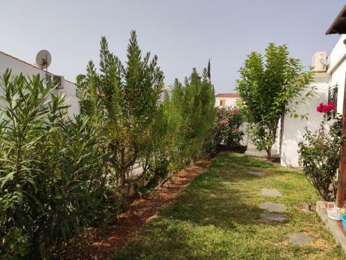 Lovely 2 Bedroom Bungalow With Parking