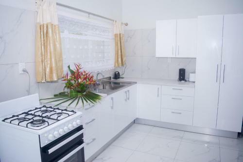 Apartamento Moeroa Villa