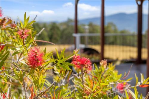 Manfield Country Bruny Island
