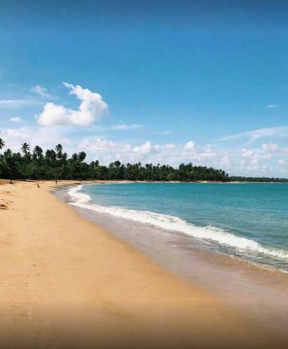 Apartamento Beach Ready!!!villas Del Mar Resort