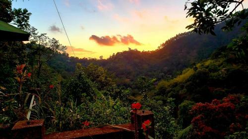 Hostal Prince Valley Guesthouse