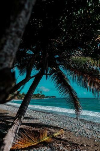 Casa Coral Beachfront Farmstay