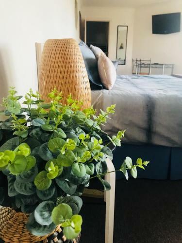 Hostal Barossa Valley Studio